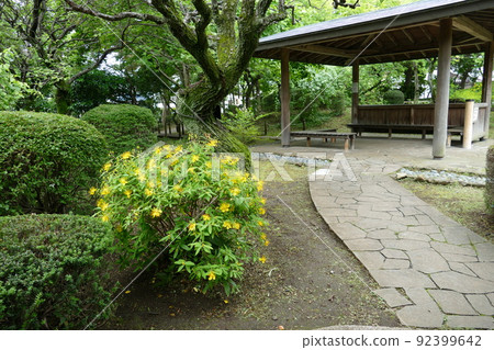 Minaminaruse, Machida-shi, Tokyo Machida-shi Donosaka Park Free admission Hayashiuchi walking path Yokohama Line Naruse Station June 4th year of Reiwa Minaminaruse, Machida-shi, Tokyo Machida-shi Donosaka Park Free admission Hayashiuchi walking path Yokohama Line Naruse Station June 4th year of Reiwa 92399642