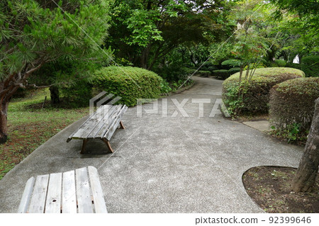 東京都町田市南成瀨町田市堂坂公園免費入園林內步行道橫濱線成瀨站令和4年6月 92399646