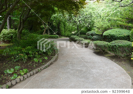 東京都町田市南成瀨町田市堂坂公園免費入園林內步行道橫濱線成瀨站令和4年6月 92399648