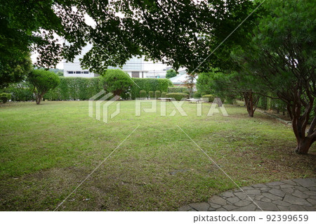 東京都町田市南成瀨町田市堂坂公園免費入園林內步行道橫濱線成瀨站令和4年6月 東京都町田市南成瀨町田市堂坂公園免費入園林內步行道橫濱線成瀨站令和4年6月 92399659