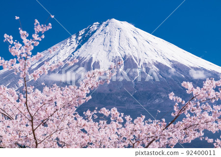 “靜岡縣”富士山和櫻花盛開 “靜岡縣”富士山和櫻花盛開 92400011