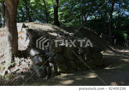 Mr. Takeda 92400106