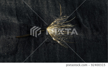 Beautiful shiny dew water drop on dandelion seed in nature macro. Soft selective focus, sparkling bokeh. 92400315