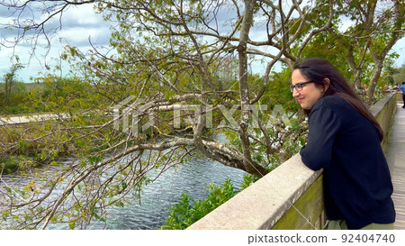 Watching the alligators in the Everglades 92404740