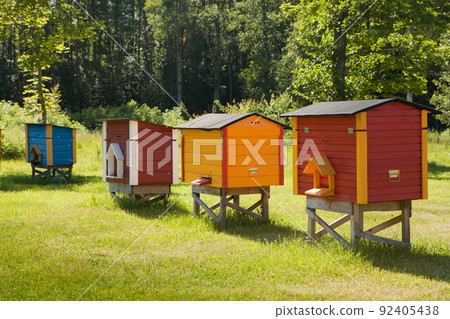Colorful hives of bees in meadow. Wooden beehives near rape field. sunny summer day 92405438