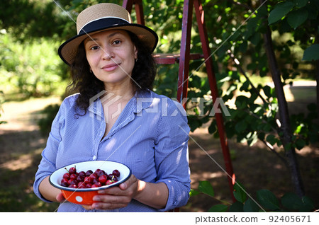 Beautiful woman, eco farm owner, gardener showing freshly picked cherries in her organic garden. Agribusiness. Farming Beautiful woman, eco farm owner, gardener showing freshly picked cherries in her organic garden. Agribusiness. Farming 92405671