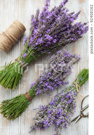 Seasonal pruning of lavender. 92408162