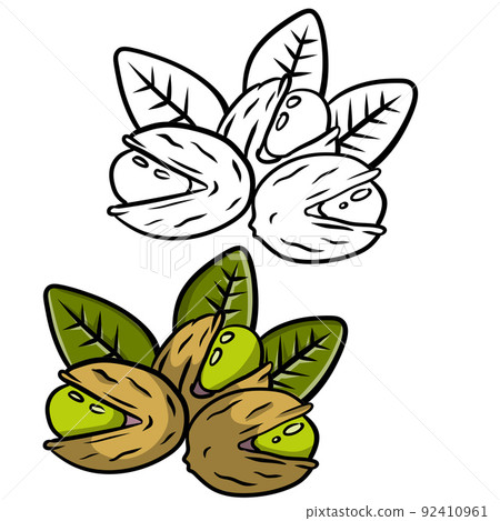 Pistachios. Green nuts in their shells Pistachios. Green nuts in their shells 92410961