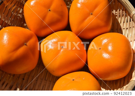 收穫柿子水果莊內柿子 92412023