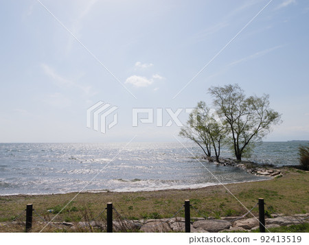 Lake Biwa, waves and trees swaying in the wind 92413519