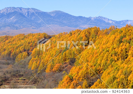 Beautiful Yatsugatake Nobeyama Plateau in late autumn 92414363