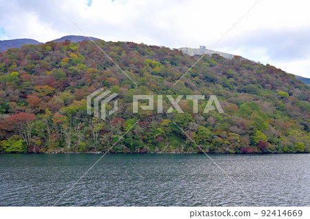 Autumn leaves of Lake Ashi, Hakone 92414669