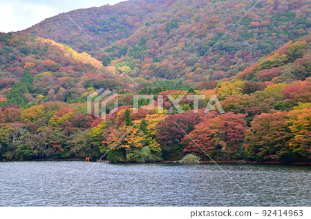 箱根蘆之湖的紅葉 92414963