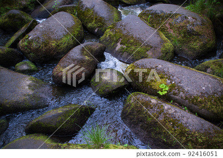 a mountain river with huge stones with green moss.wild forest of taiga. a mountain river with huge stones with green moss.wild forest of taiga. 92416051