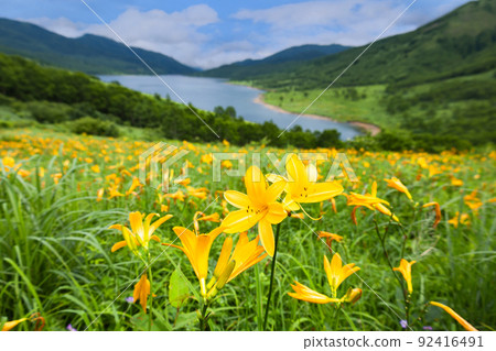 Nozori Kisuge and Lake Notori 92416491