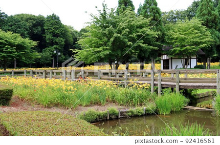 Nable Park to stroll around the beautiful Kisuge group on a summer day 92416561