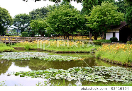 Nable Park to stroll around the beautiful Kisuge group on a summer day Nable Park to stroll around the beautiful Kisuge group on a summer day 92416564