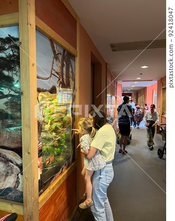 Mom shows a little girl a terrarium with snakes 92418047