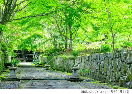 大分縣國前市夏天的二子寺 92419156