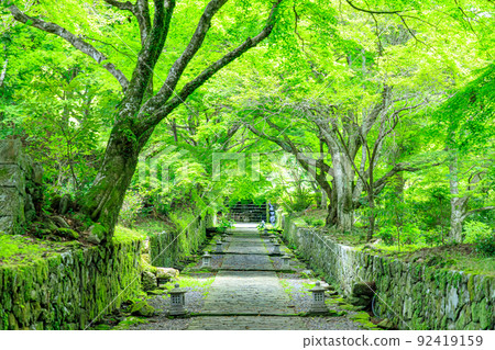 Futagoji Temple in Summer, Kunisaki City, Oita Prefecture 92419159