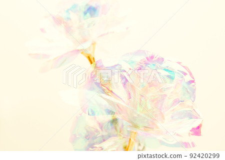 Rainbow rose pale flower background material Rainbow rose pale flower background material 92420299