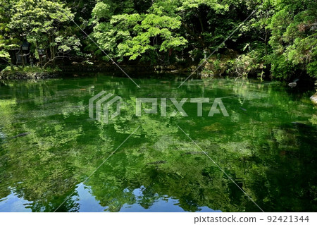 佐野市出鶴原町泉水弁天池 92421344
