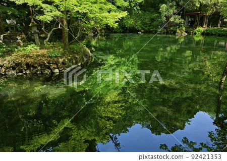Benten Pond of spring water in Izuruhara-cho, Sano City 92421353