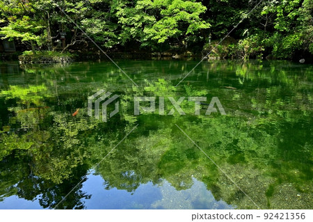 Benten Pond of spring water in Izuruhara-cho, Sano City Benten Pond of spring water in Izuruhara-cho, Sano City 92421356