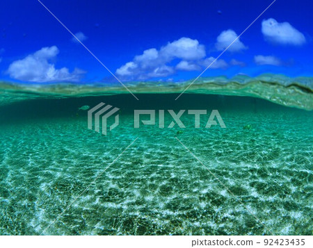 西西海灘 92423435