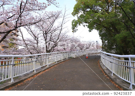 Sanmai Dabashi Ayase, Adachi-ku, Tokyo 92423837