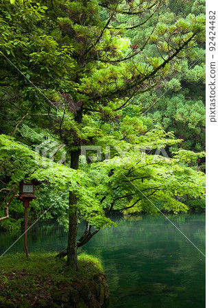 伊祖魯哈拉·本特尼克（Izuruhara Bentenike） 92424482