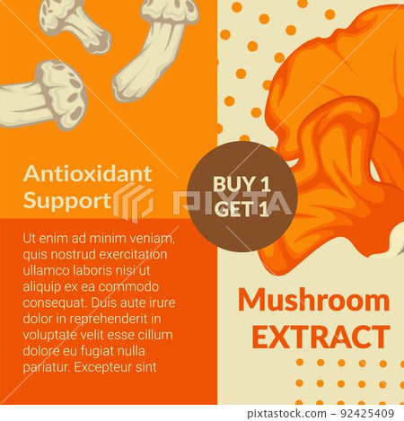 Mushroom extract, antioxidant support promo banner Mushroom extract, antioxidant support promo banner 92425409