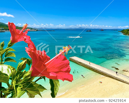 Okinawa's blue sea, blue sky and bright red hibiscus Okinawa's blue sea, blue sky and bright red hibiscus 92425914