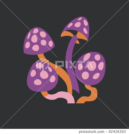Poisonous mushrooms, magic ingredients vector 92426303