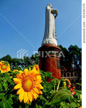 越南胡志明市聖瑪麗教堂的瑪麗和向日葵雕像 92426370