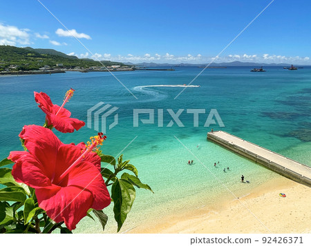 Okinawa's blue sea, blue sky and bright red hibiscus 92426371