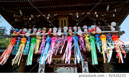 Miyajidake Shrine Path of Light Scenery 92428235
