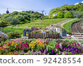 神戶布引香草園盛開的花景 92428554