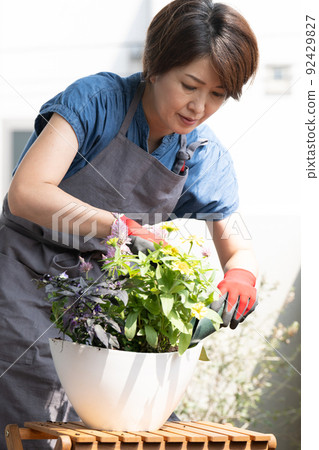 做集體種植和園藝的婦女 做集體種植和園藝的婦女 92429827