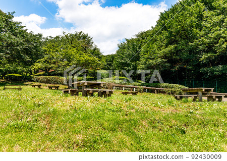 Forest bathing at the bench table in Rokudouyama Park, Mizuho-cho, Tokyo Forest bathing at the bench table in Rokudouyama Park, Mizuho-cho, Tokyo 92430009