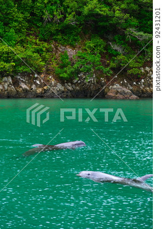 太地鎮鯨魚博物館 92431201