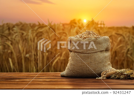 wheat grains in burlap sack on table outdoors 92431247