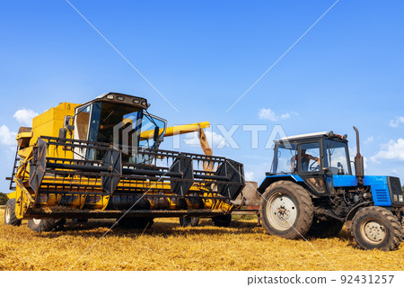 combine harvester and tractor with carriage in ripe wheat field 92431257