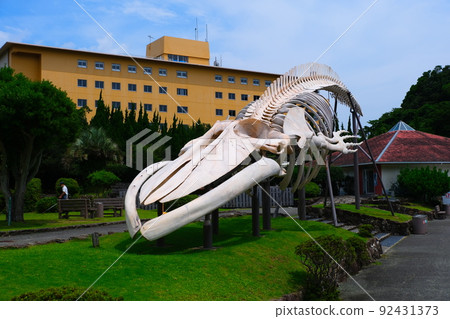 Taiji Town Whale Museum Taiji Town Whale Museum 92431373