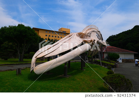 Taiji Town Whale Museum 92431374