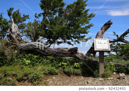 Taken when climbing Mt. Tsurugi, Tokushima Prefecture 92432491