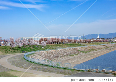 Spring scenery of Sayamaike Park in Osaka Prefecture 92433135