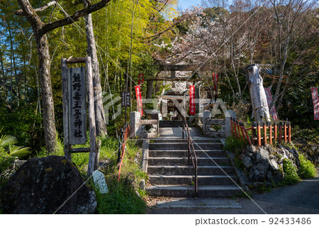 熊野若王子神社的春天 92433486