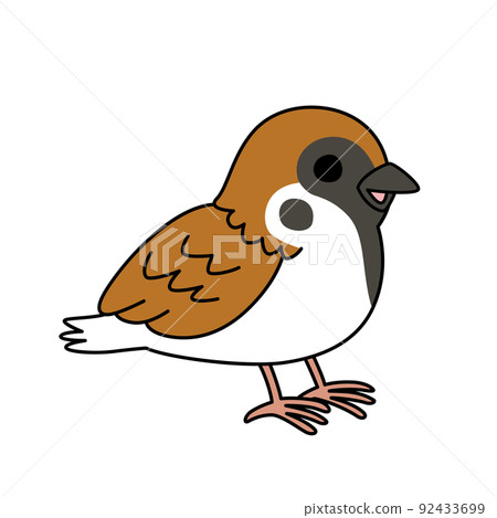 簡單可愛的麻雀插圖白色背景矢量與主線剪貼畫 簡單可愛的麻雀插圖白色背景矢量與主線剪貼畫 92433699