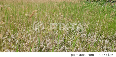 建築道峰山松島 92435186